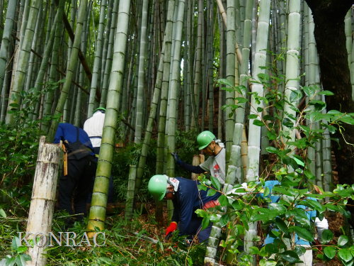 里山倶楽部