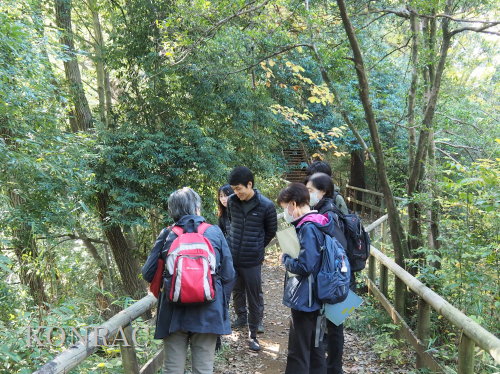 ���ы�y��