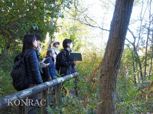 ���ы�y��