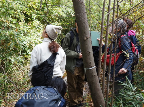 ���ы�y��