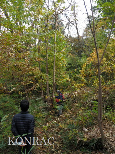 ���ы�y��