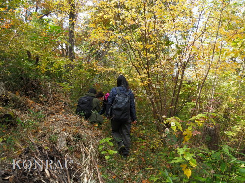 ���ы�y��