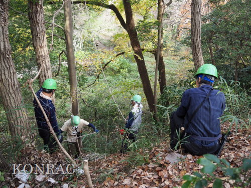 ���R��y��