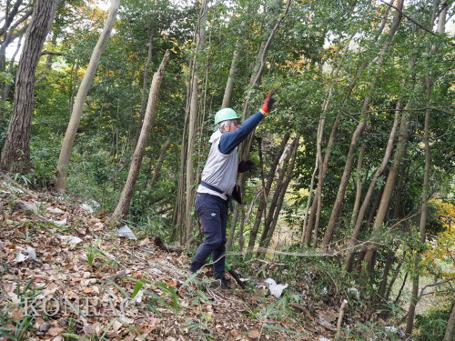 ���R��y��