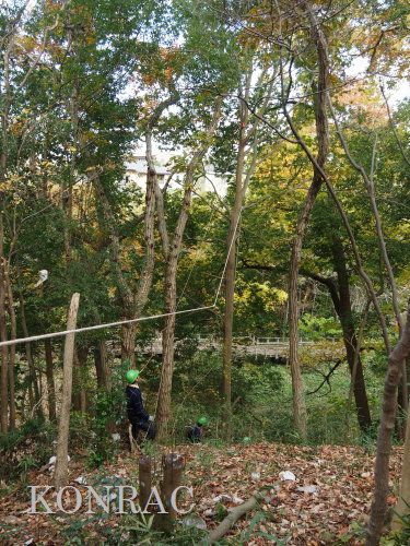 ���R��y��