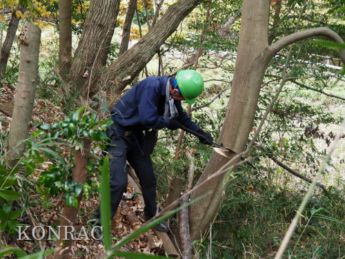 ���R��y��