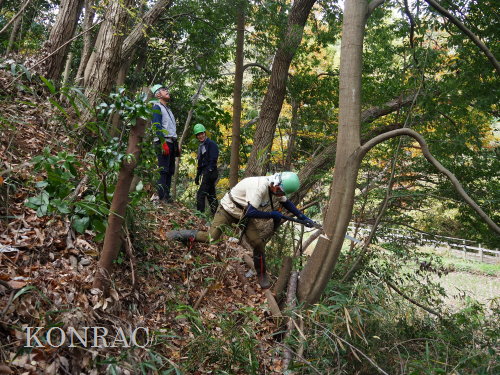 ���R��y��