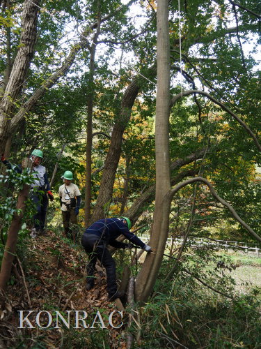 ���R��y��