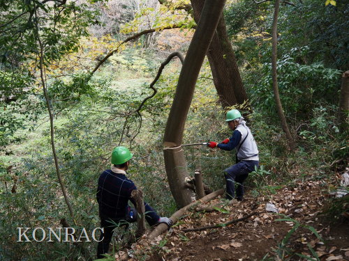 ���R��y��