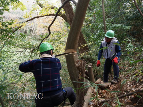 ���R��y��