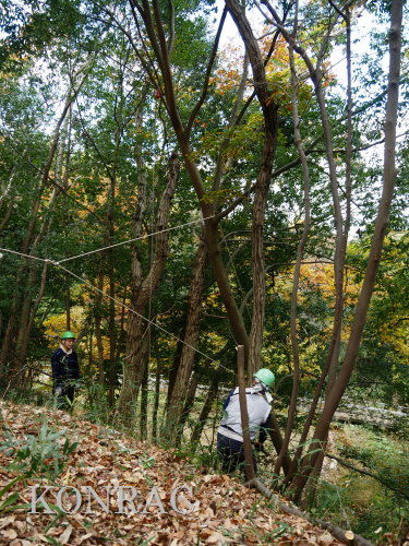 ���R��y��