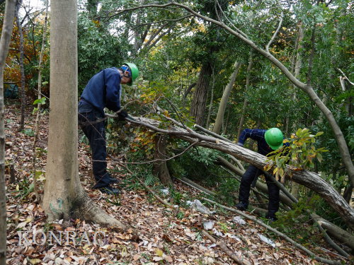 ���R��y��