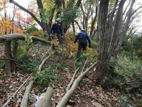 ���R��y��