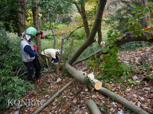 ���R��y��