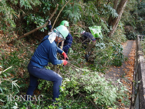 ���R��y��