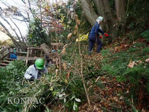 ���R��y��