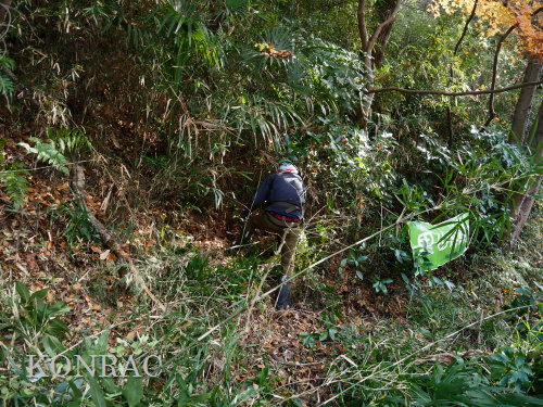 ���R��y��