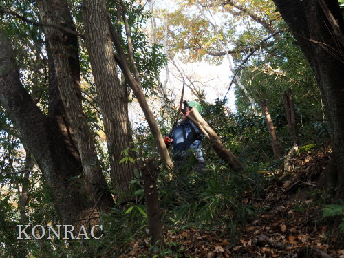 ���R��y��