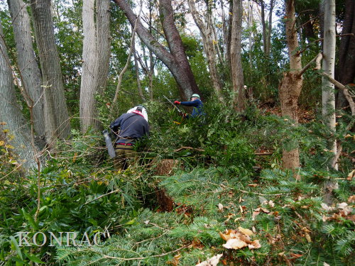 ���R��y��