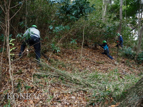 ���R��y��