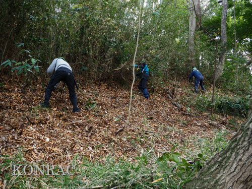 ���R��y��