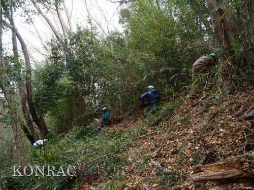 ���R��y��