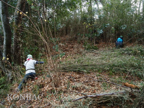 ���R��y��