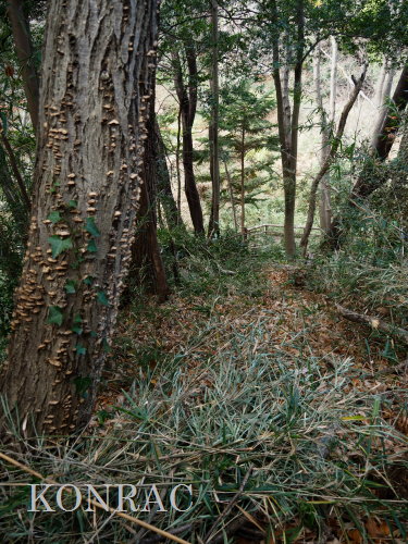 ���R��y��