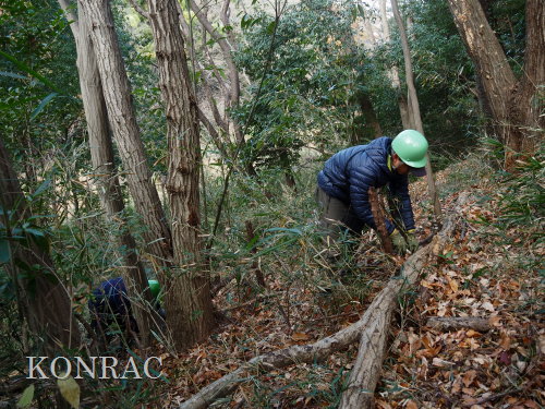 ���R��y��