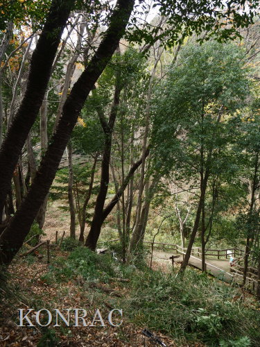 ���R��y��