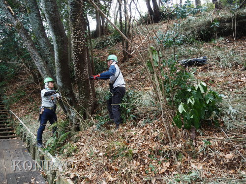 ���R��y��