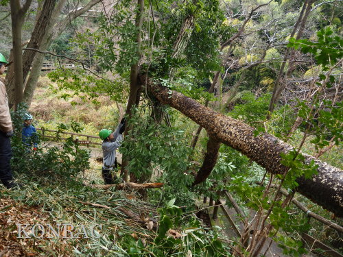 ���R��y��