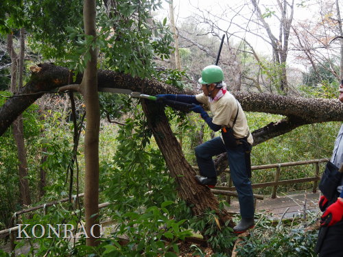 ���R��y��