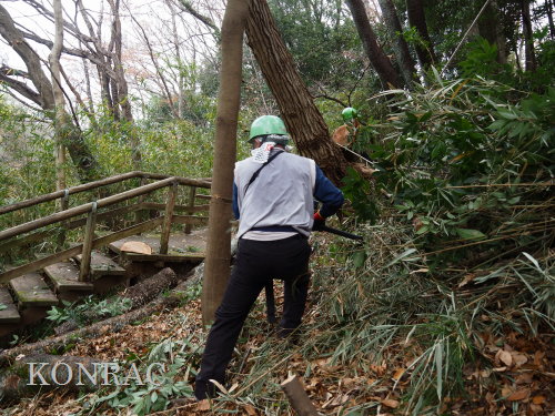 ���R��y��