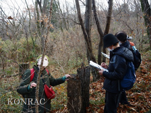 ���ы�y��