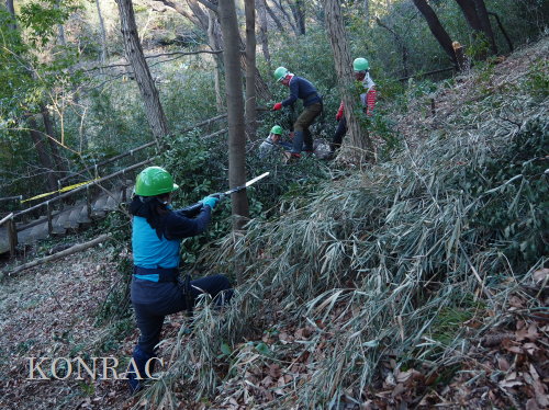 ���R��y��