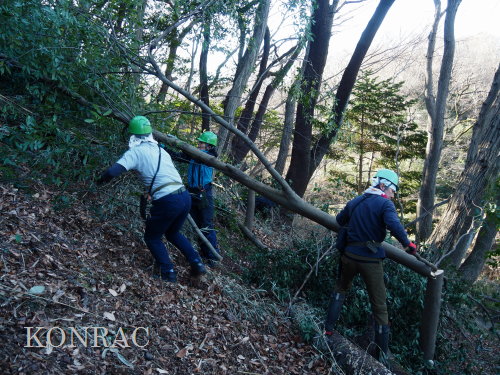 ���R��y��