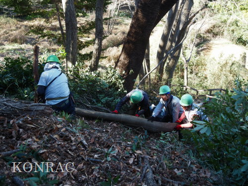 ���R��y��