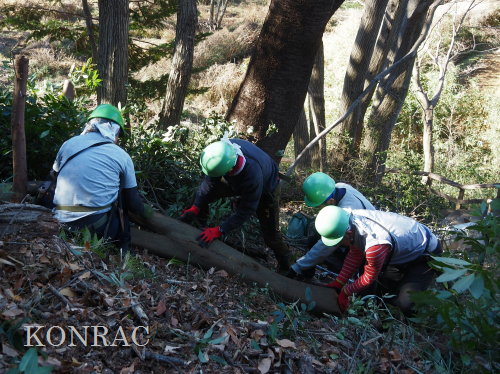 ���R��y��