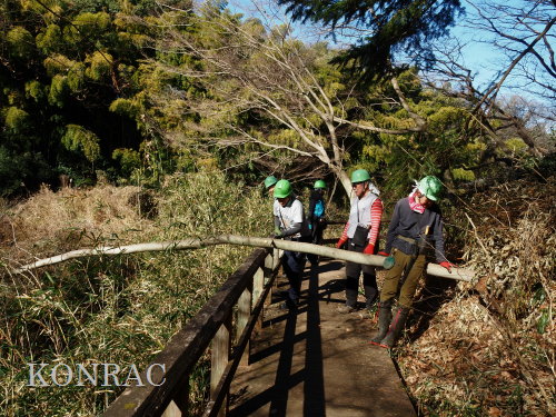 ���R��y��