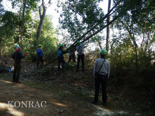 ���R��y��