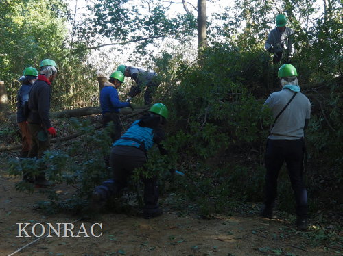 ���R��y��