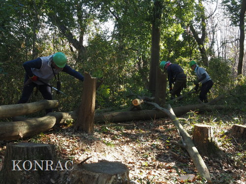 ���R��y��