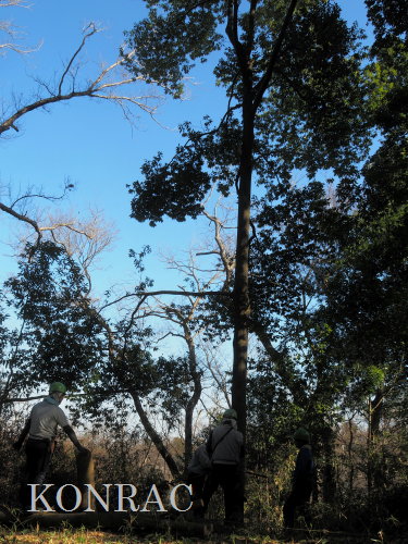 ���R��y��