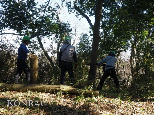 ���R��y��