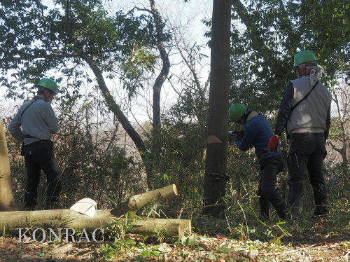 ���R��y��