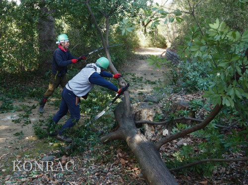 ���R��y��