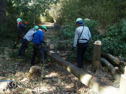 ���R��y��