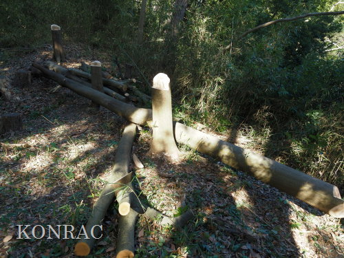 ���R��y��