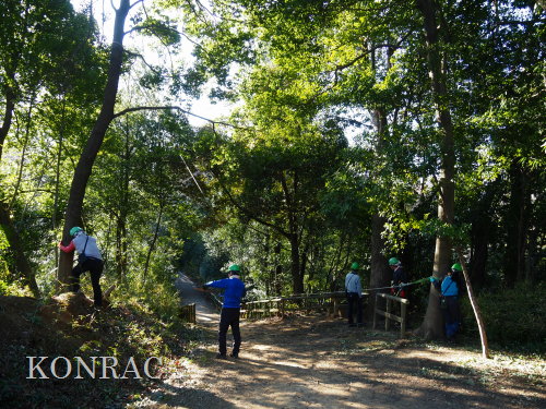 ���R��y��